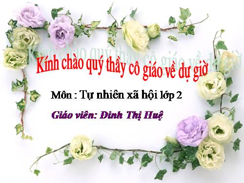 Bài 8. Ăn, uống sạch sẽ