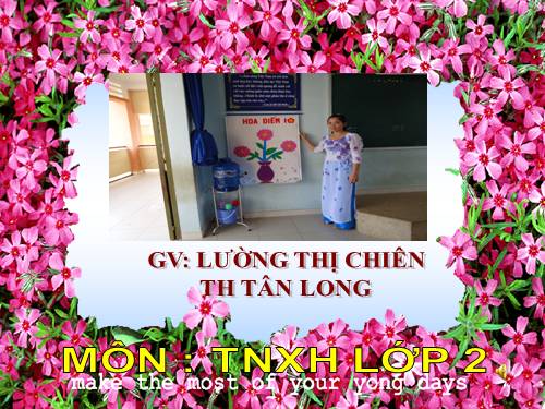 Bài 29. Một số loài vật sống dưới nước