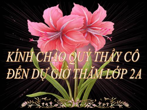 Bài 20. An toàn khi đi các phương tiện giao thông