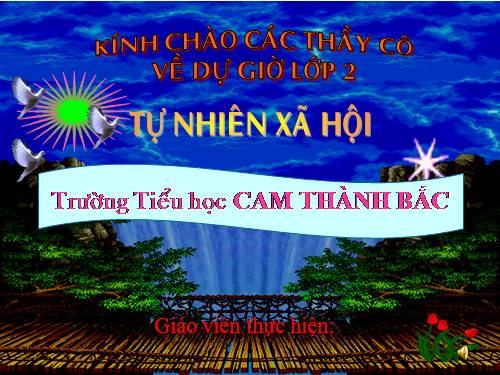 Bài 27. Loài vật sống ở đâu?