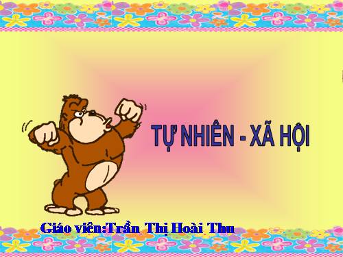 Bài 3. Hệ cơ