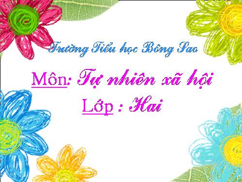 Bài 20. An toàn khi đi các phương tiện giao thông