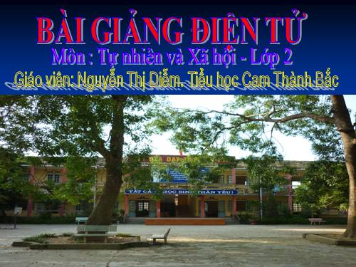 Bài 29. Một số loài vật sống dưới nước