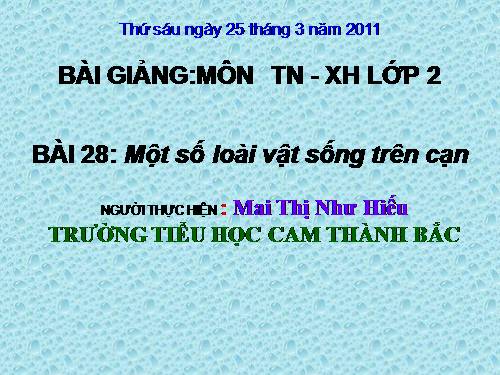 Bài 28. Một số loài vật sống trên cạn