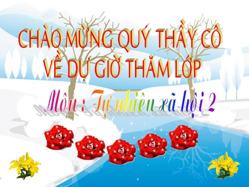 Bài 29. Một số loài vật sống dưới nước