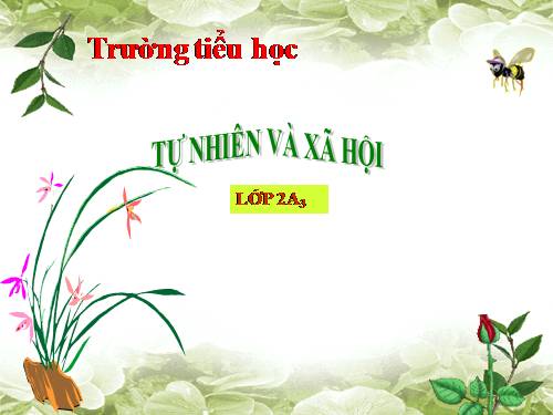 Bài 12. Đồ dùng trong gia đình