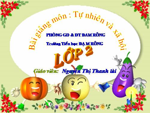 Bài 28. Một số loài vật sống trên cạn