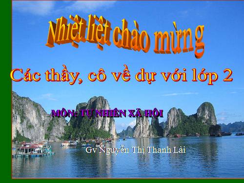 Bài 30. Nhận biết cây cối và các con vật