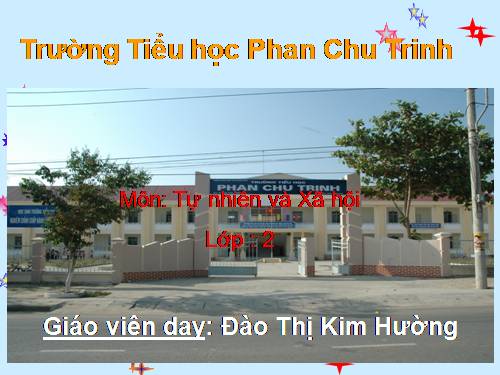 Bài 20. An toàn khi đi các phương tiện giao thông