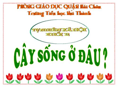 Bài 24. Cây sống ở đâu?