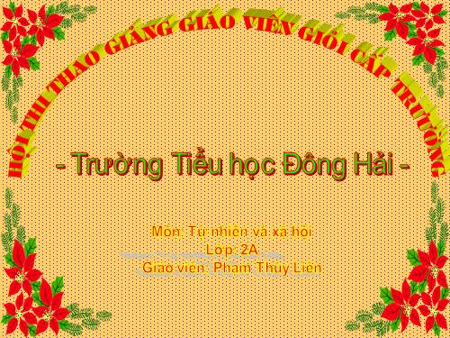 Bài 19. Đường giao thông
