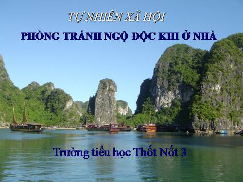 Bài 14. Phòng tránh ngộ độc khi ở nhà