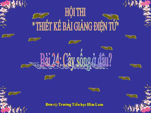 Bài 24. Cây sống ở đâu?