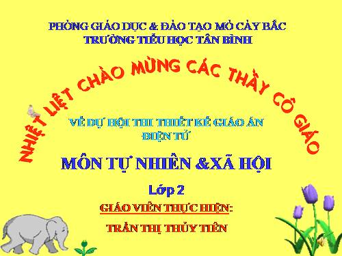 Bài 24. Cây sống ở đâu?