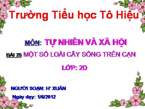 Bài 25. Một số loài cây sống trên cạn