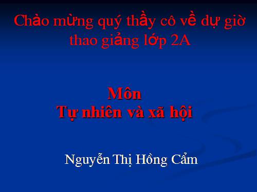 Bài 16. Các thành viên trong nhà trường