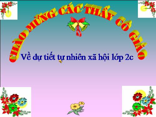 Bài 9. Đề phòng bệnh giun
