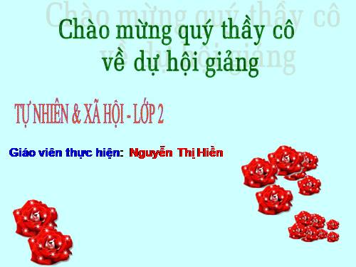 Bài 21. Cuộc sống xung quanh