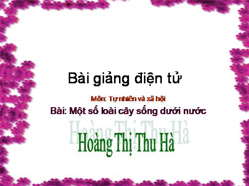 Bài 26. Một số loài cây sống dưới nước