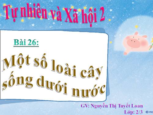 Bài 26. Một số loài cây sống dưới nước