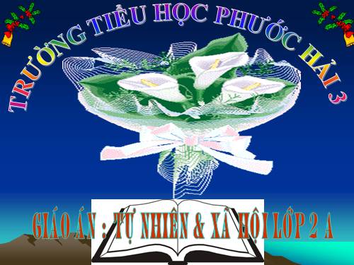 Bài 11. Gia đình
