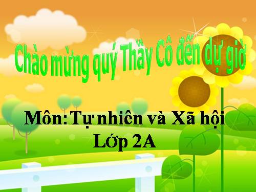 Bài 27. Loài vật sống ở đâu?
