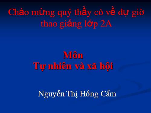 Bài 16. Các thành viên trong nhà trường