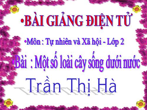 Bài 26. Một số loài cây sống dưới nước