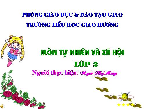 Bài 33. Mặt Trăng và các vì sao