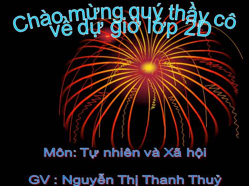 Bài 22. Cuộc sống xung quanh (tiếp theo)