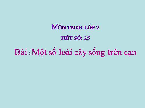 Bài 25. Một số loài cây sống trên cạn