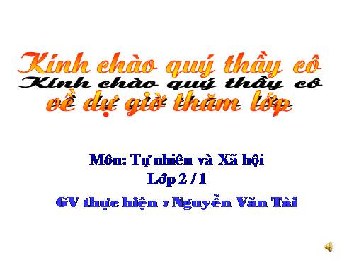 Bài 31. Mặt Trời