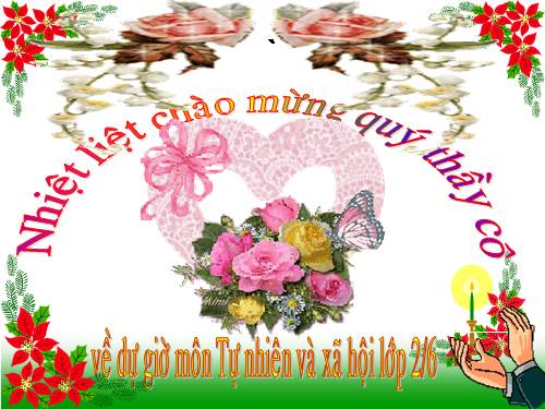 Bài 12. Đồ dùng trong gia đình