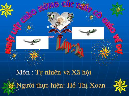 Bài 31. Mặt Trời