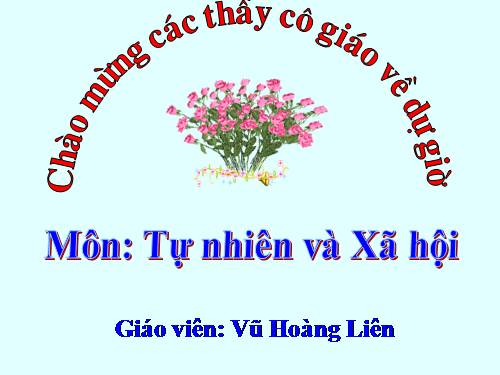 Bài 30. Nhận biết cây cối và các con vật