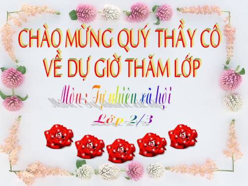Bài 15. Trường học