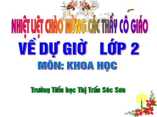 Bài 32. Mặt Trời và phương hướng