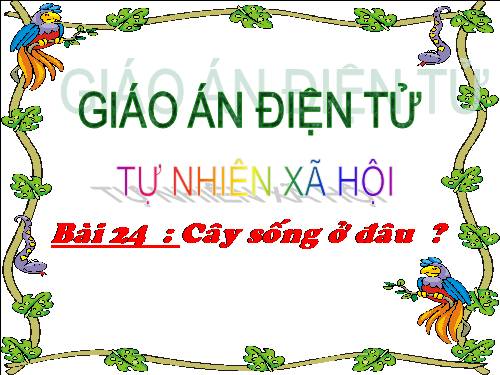 Bài 24. Cây sống ở đâu?