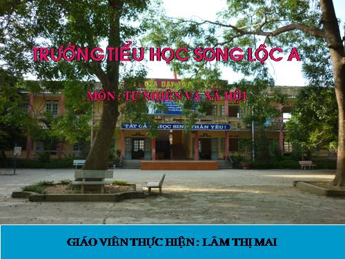 Bài 34-35. Ôn tập: Tự nhiên