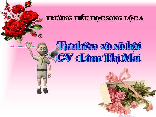 Bài 4. Làm gì để xương và cơ phát triển tốt?