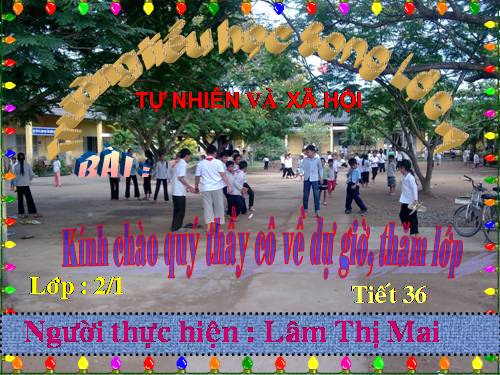 BAI LAM CO KHUNG