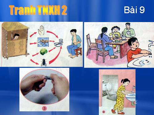 TRANH SGK (PHAN 20 - MAI SLA