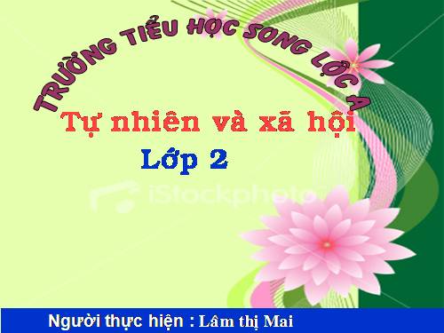Bài 30. Nhận biết cây cối và các con vật