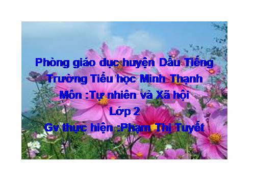 Bài 30. Nhận biết cây cối và các con vật