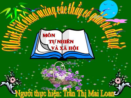 Bài 29. Một số loài vật sống dưới nước