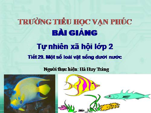 Bài 29. Một số loài vật sống dưới nước