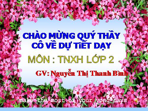 Bài 29. Một số loài vật sống dưới nước