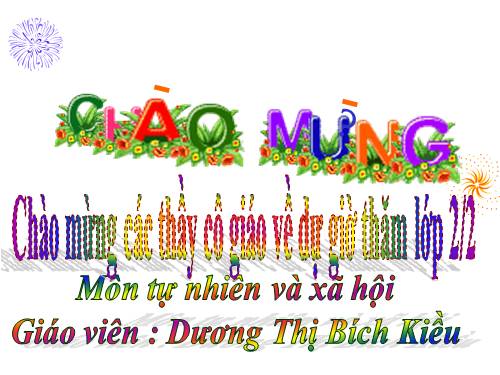 Bài 25. Một số loài cây sống trên cạn