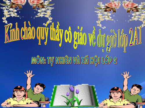 Bài 24. Cây sống ở đâu?