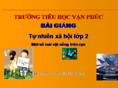 Bài 28. Một số loài vật sống trên cạn